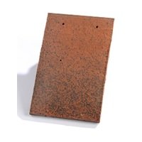 Tuile PLATE 17x27 Doyet - Batiweb